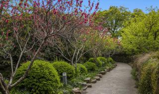 无锡蠡湖中央公园 无锡蠡湖中央公园