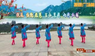 天边骆驼原唱 天边的骆驼广场舞