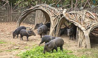 1532年哪一个国家入侵厄瓜多尔 厄瓜多尔是哪个国家