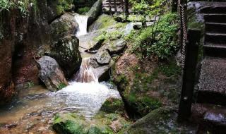 武夷山两日游 武夷山两日游