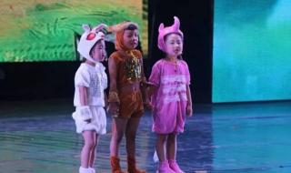 内置喜马拉雅星什么意思 喜马拉雅星国语高清